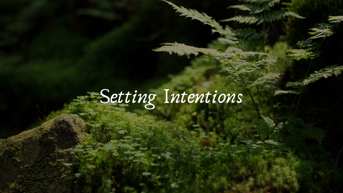 Set Your Wild Intentions for the Week