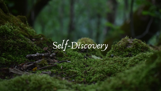 Self-Discovery Practices for the Mystic Wild Woman